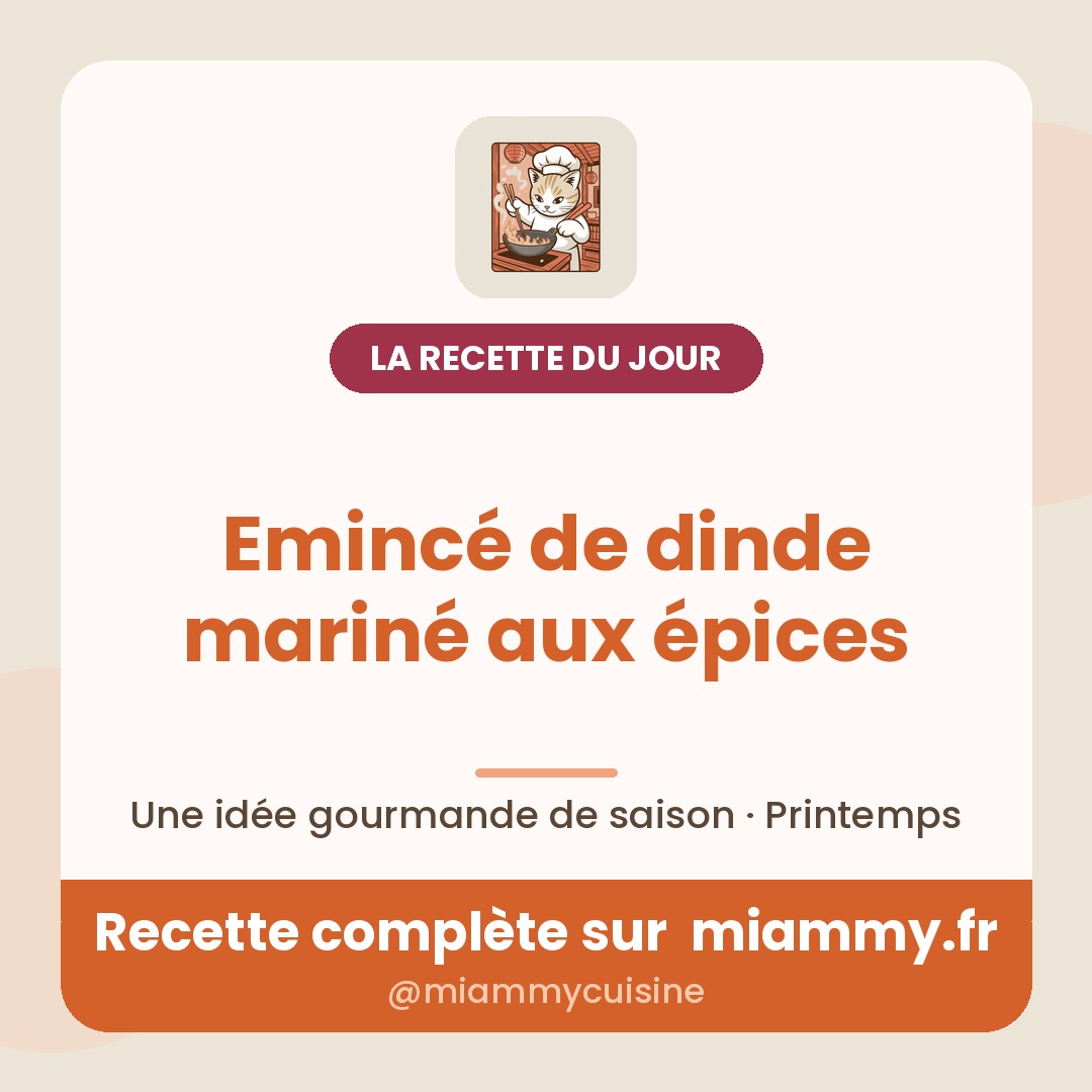 Emincé de dinde mariné aux épices — recette Miammy